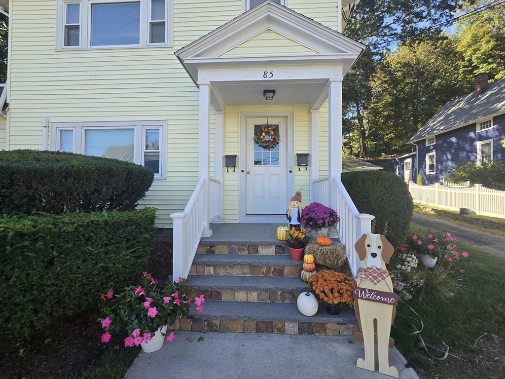 85 Lynde Street 1