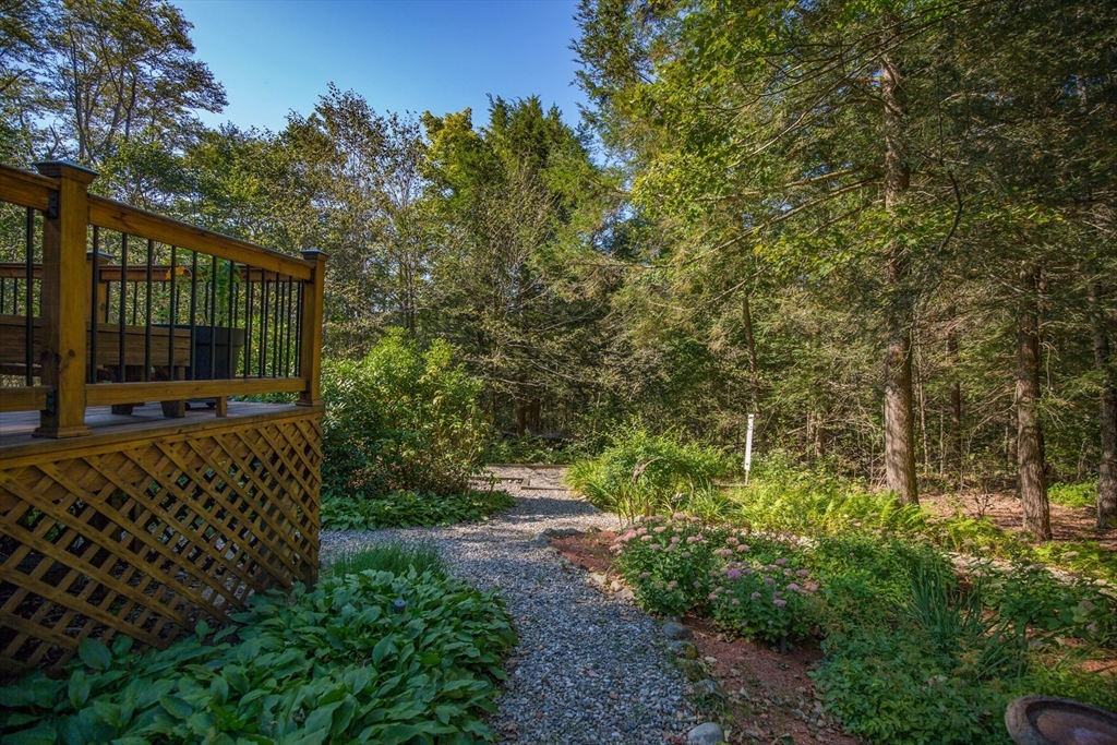19 Beechwood Ln