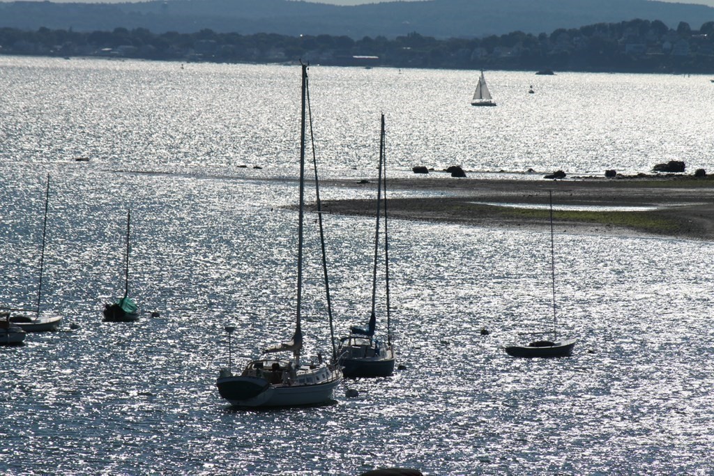 23 P St- Winter Rental- Dec.-June Whole House