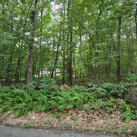 Photo of 0 Old West Brookfield Rd, Warren, MA 01083 (MLS # 73580005)