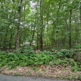 0 Old West Brookfield Rd Warren MA 01083