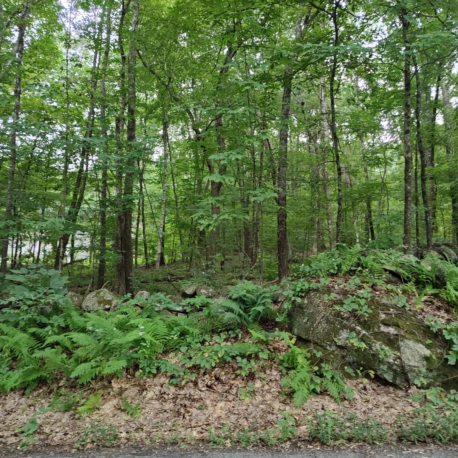 0 Old West Brookfield Rd
