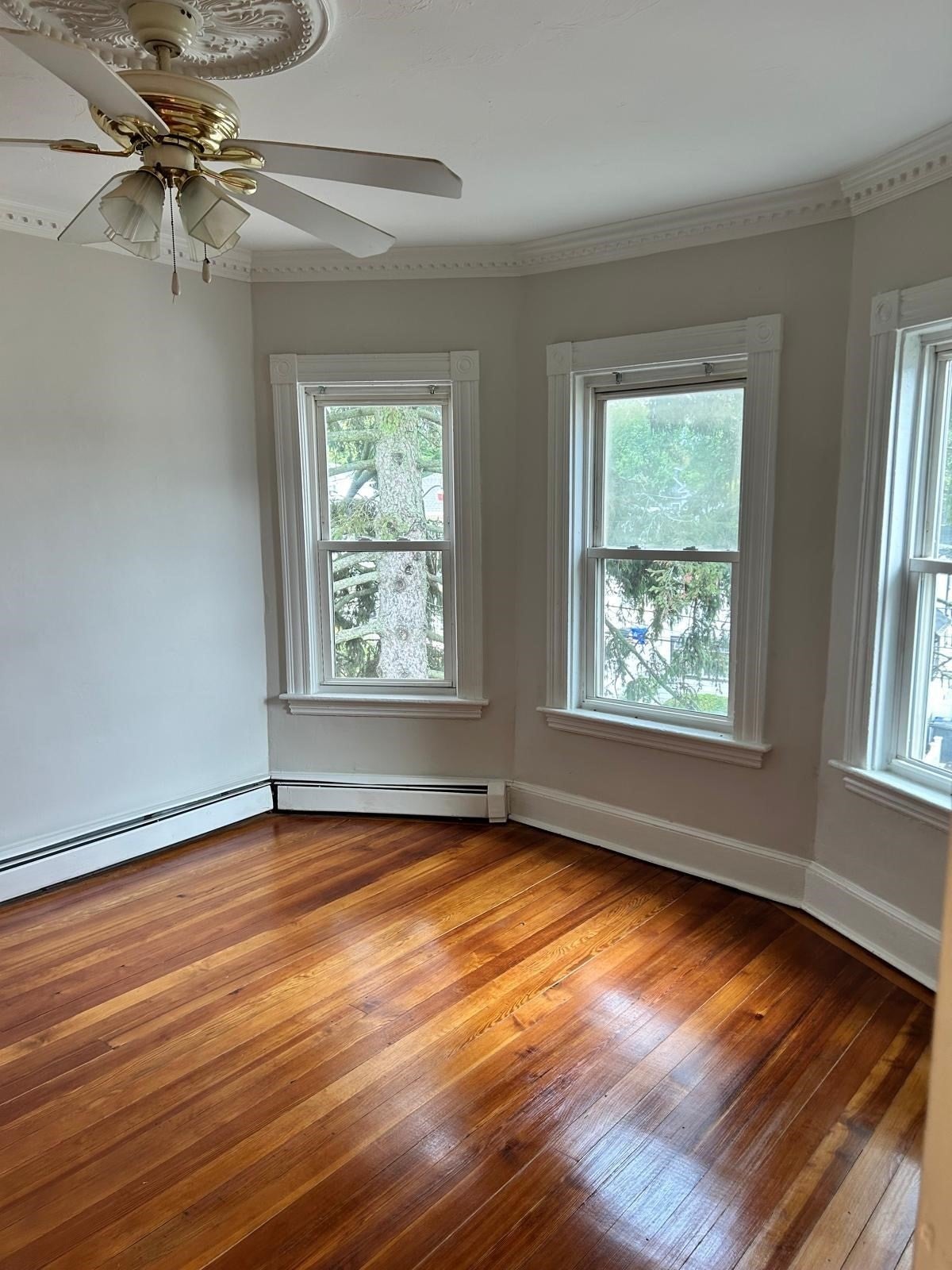 317 Wood Ave #1, Boston, MA, 317 Wood Ave #1, Boston, MA Photo #6