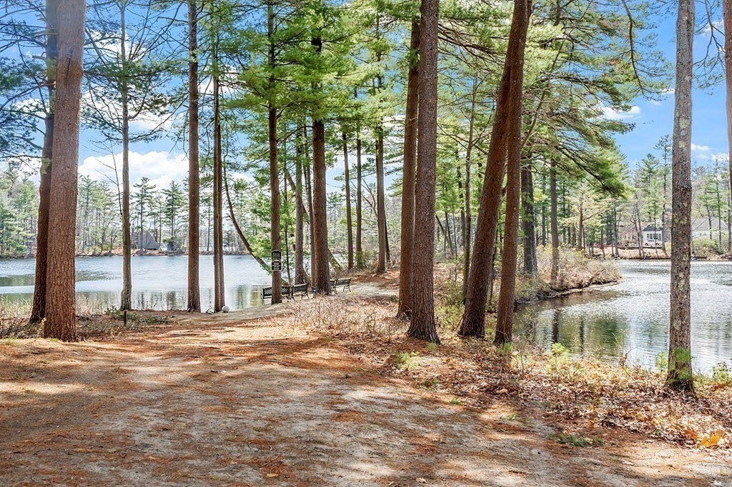 16 Wintergreen Ct 16