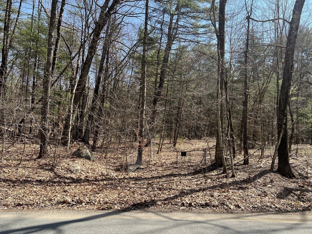 Lot 3, January Hills Road