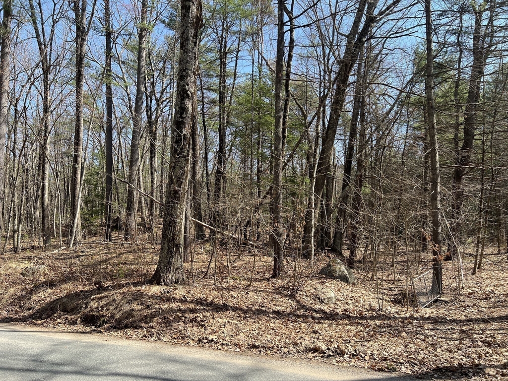 Lot 3, January Hills Road