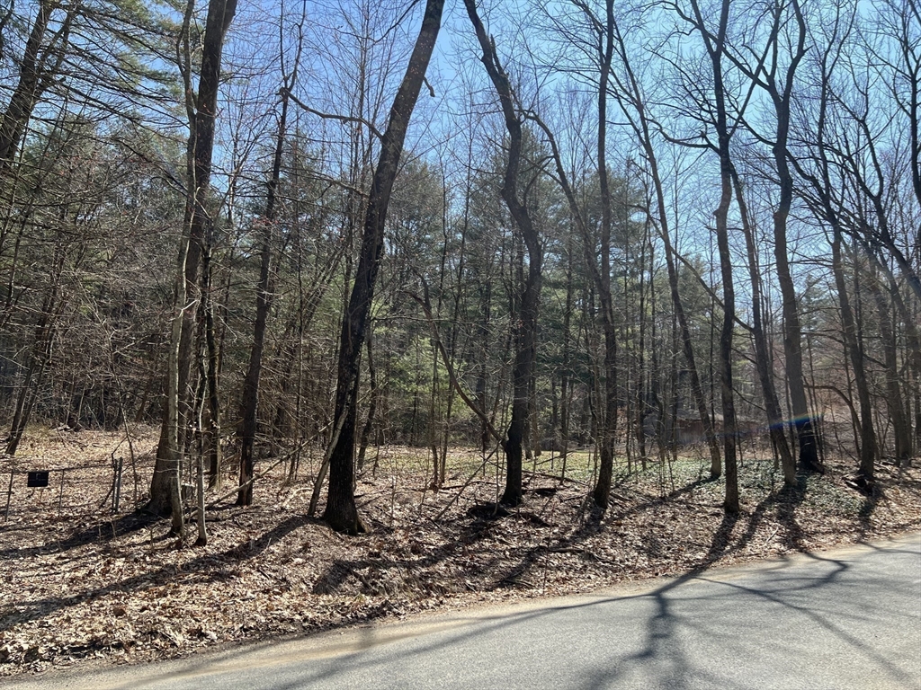 Lot 3, January Hills Road