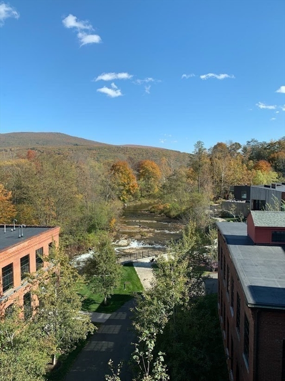 160 Water St #203, Williamstown, MA Photo #29