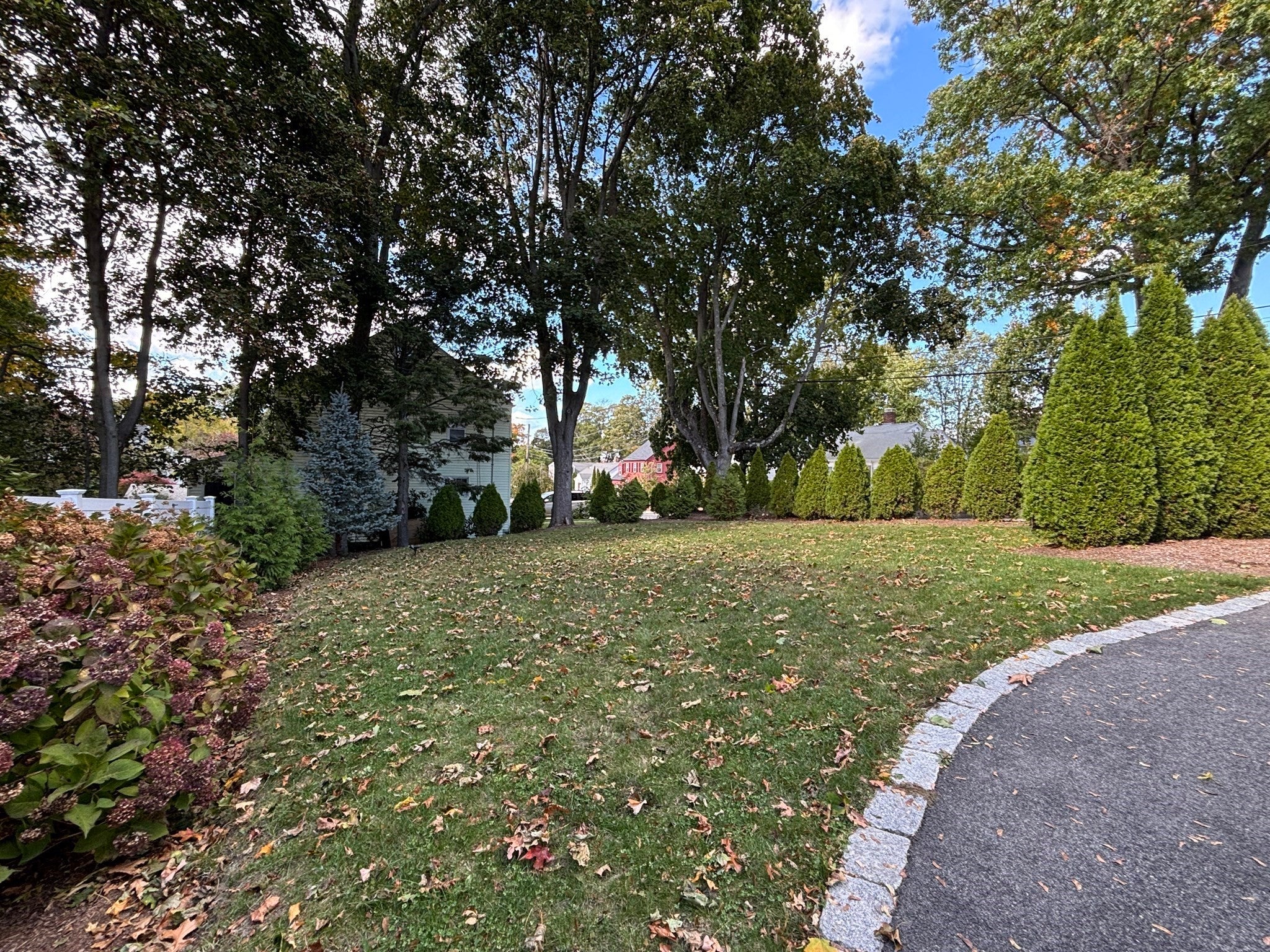 40 Ansonia Rd #40, Boston, MA, 40 Ansonia Rd #40, Boston, MA Photo #28