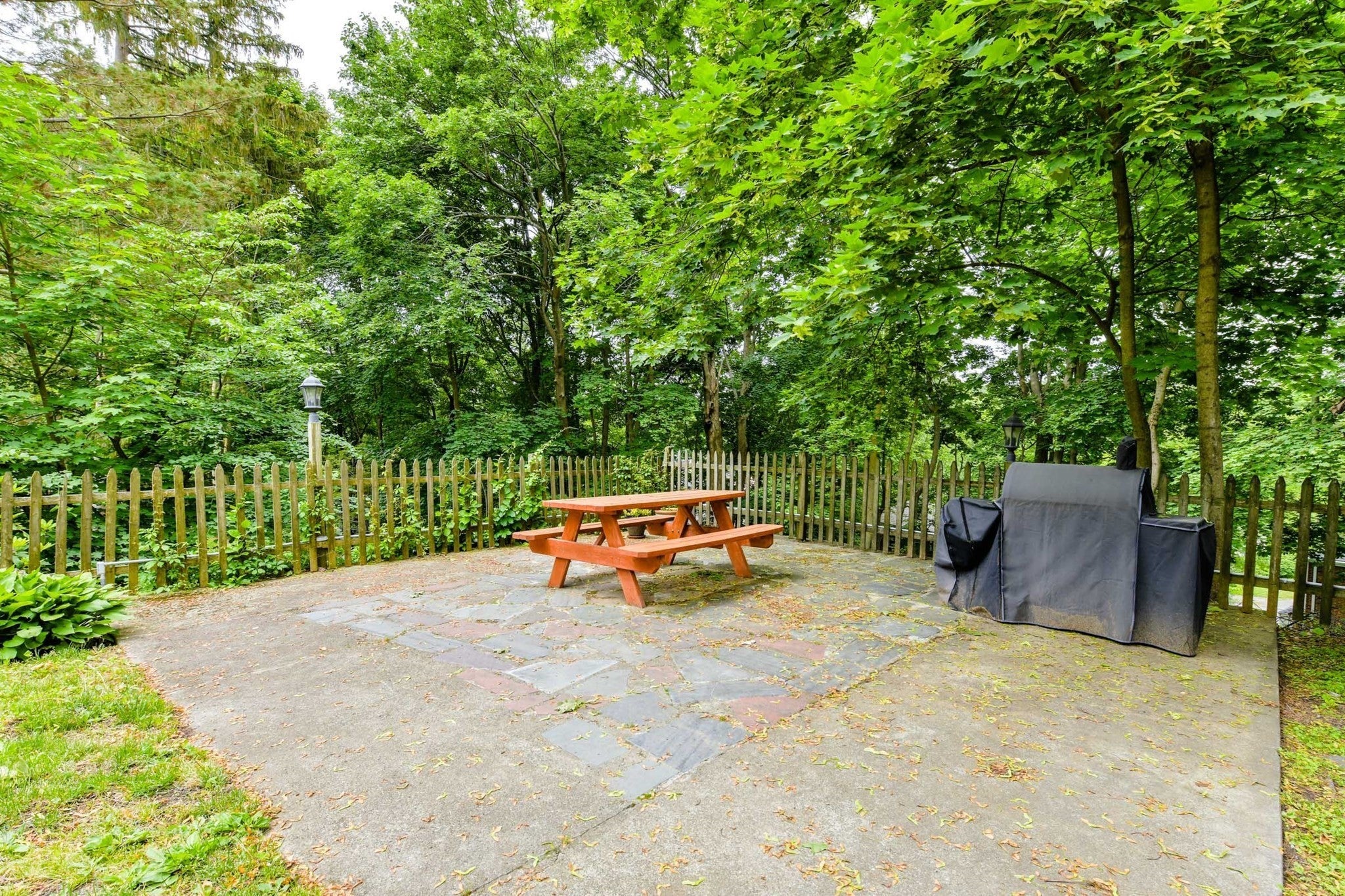 51 Wolcott Rd #1, Brookline, MA, 51 Wolcott Rd #1, Brookline, MA Photo #18