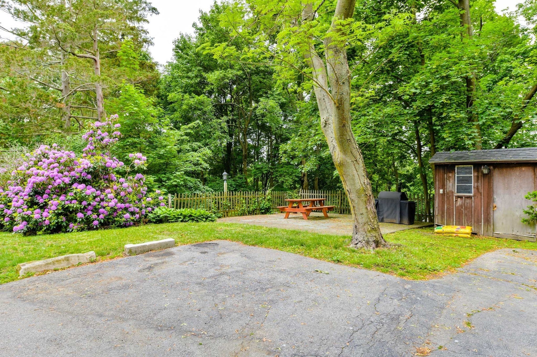 51 Wolcott Rd #1, Brookline, MA, 51 Wolcott Rd #1, Brookline, MA Photo #19