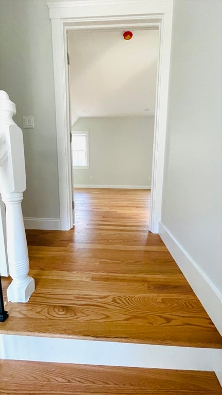 16 Putnam St #2, Somerville, MA Photo #14