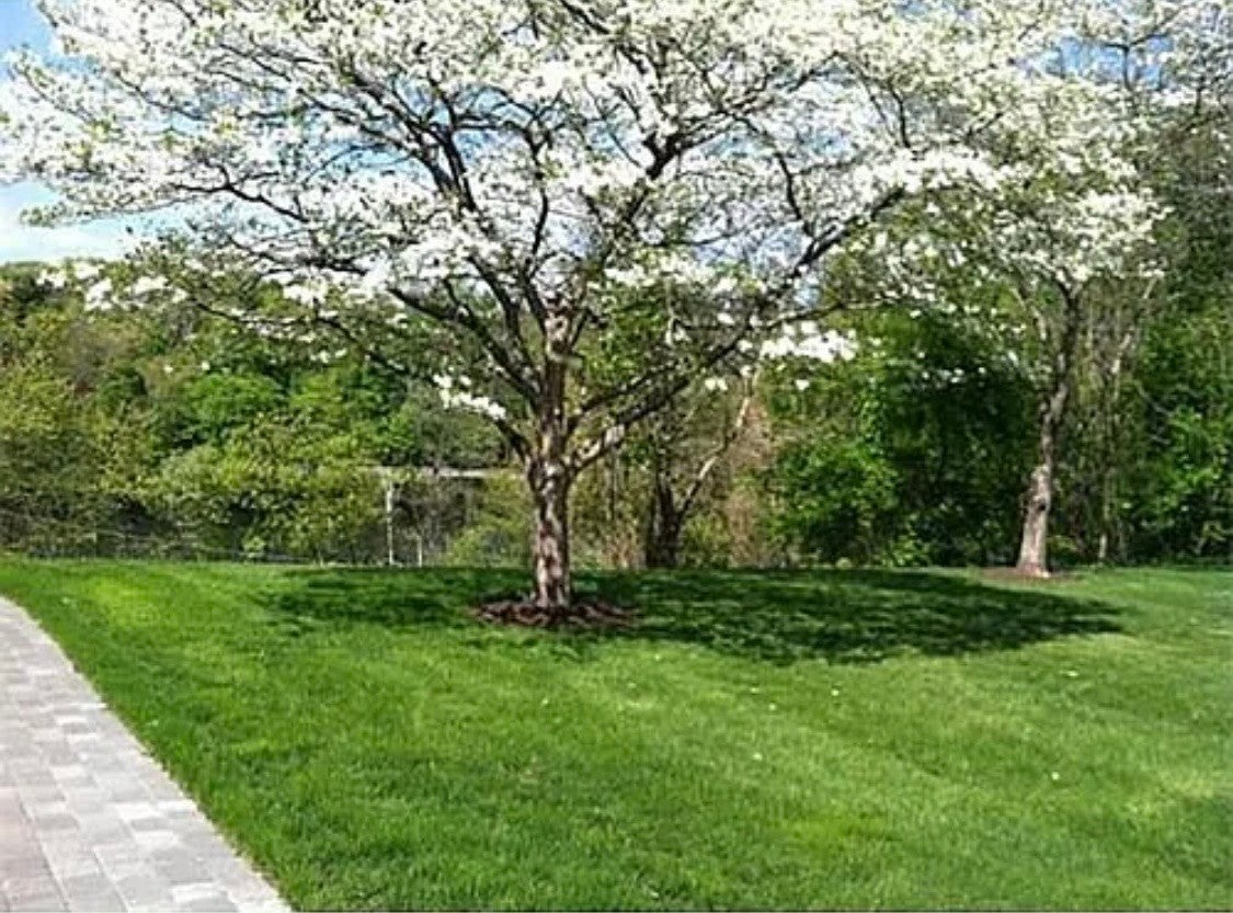 23 Charlesbank Road #A, Newton, MA, 23 Charlesbank Road #A, Newton, MA Photo #1