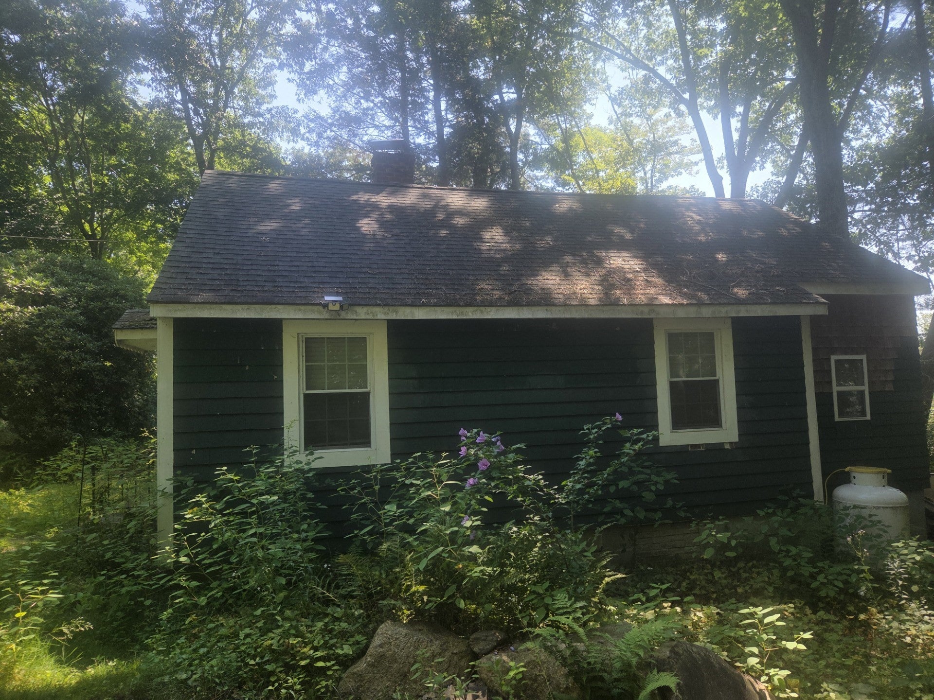 4 Lambs Grove