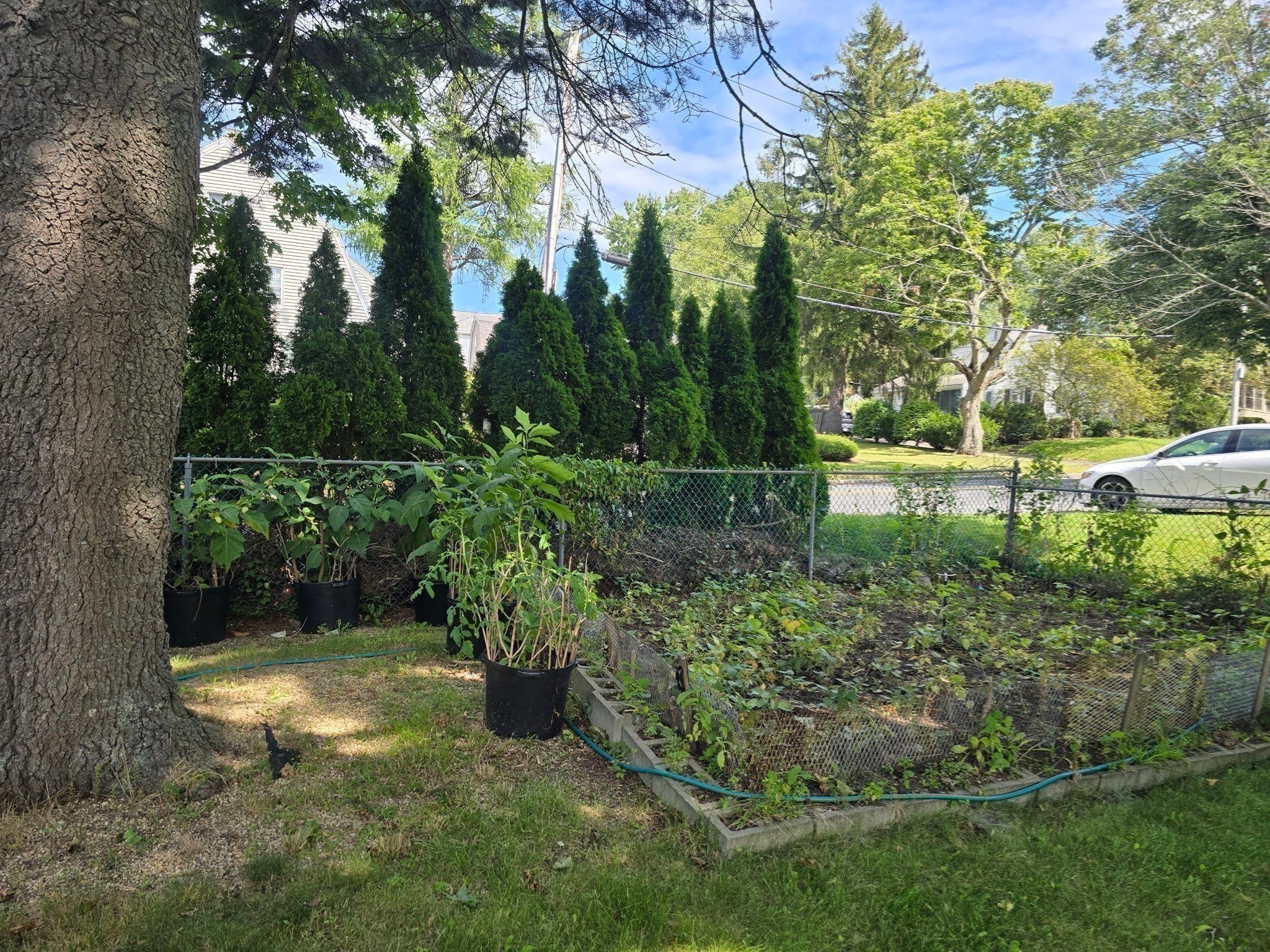 203 Burncoat St, Worcester, MA, 203 Burncoat St, Worcester, MA Photo #38