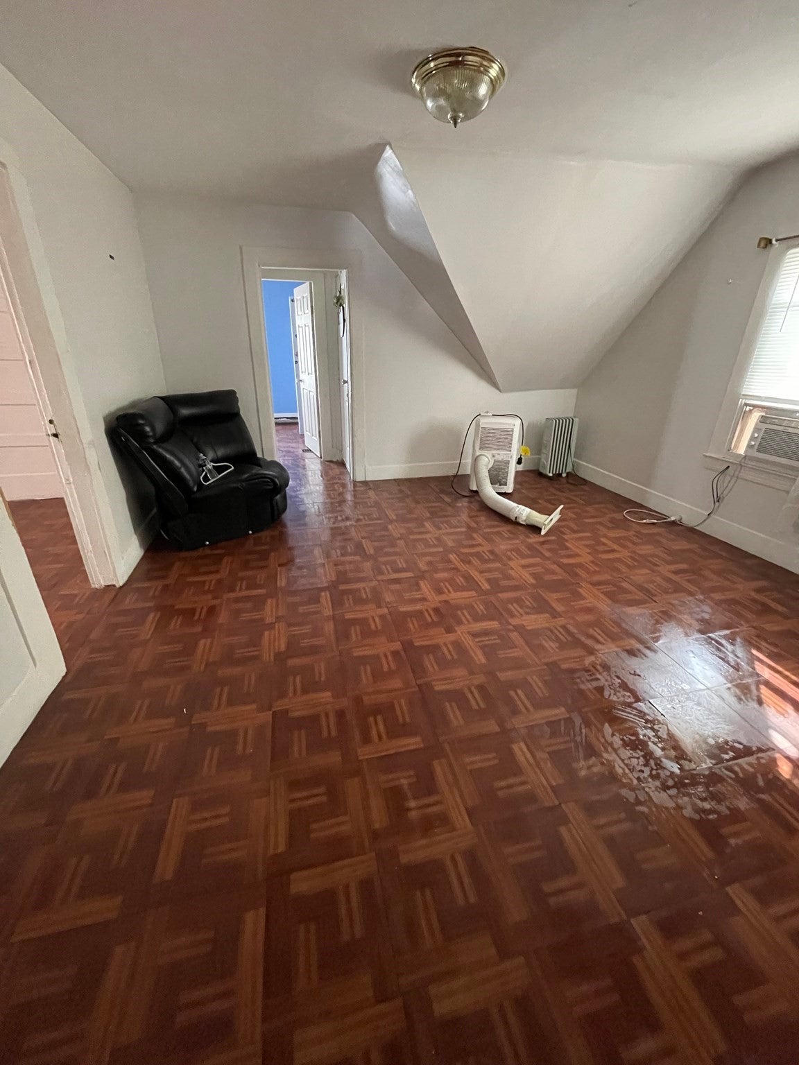 44 Brookline Ave, Springfield, MA Photo #12