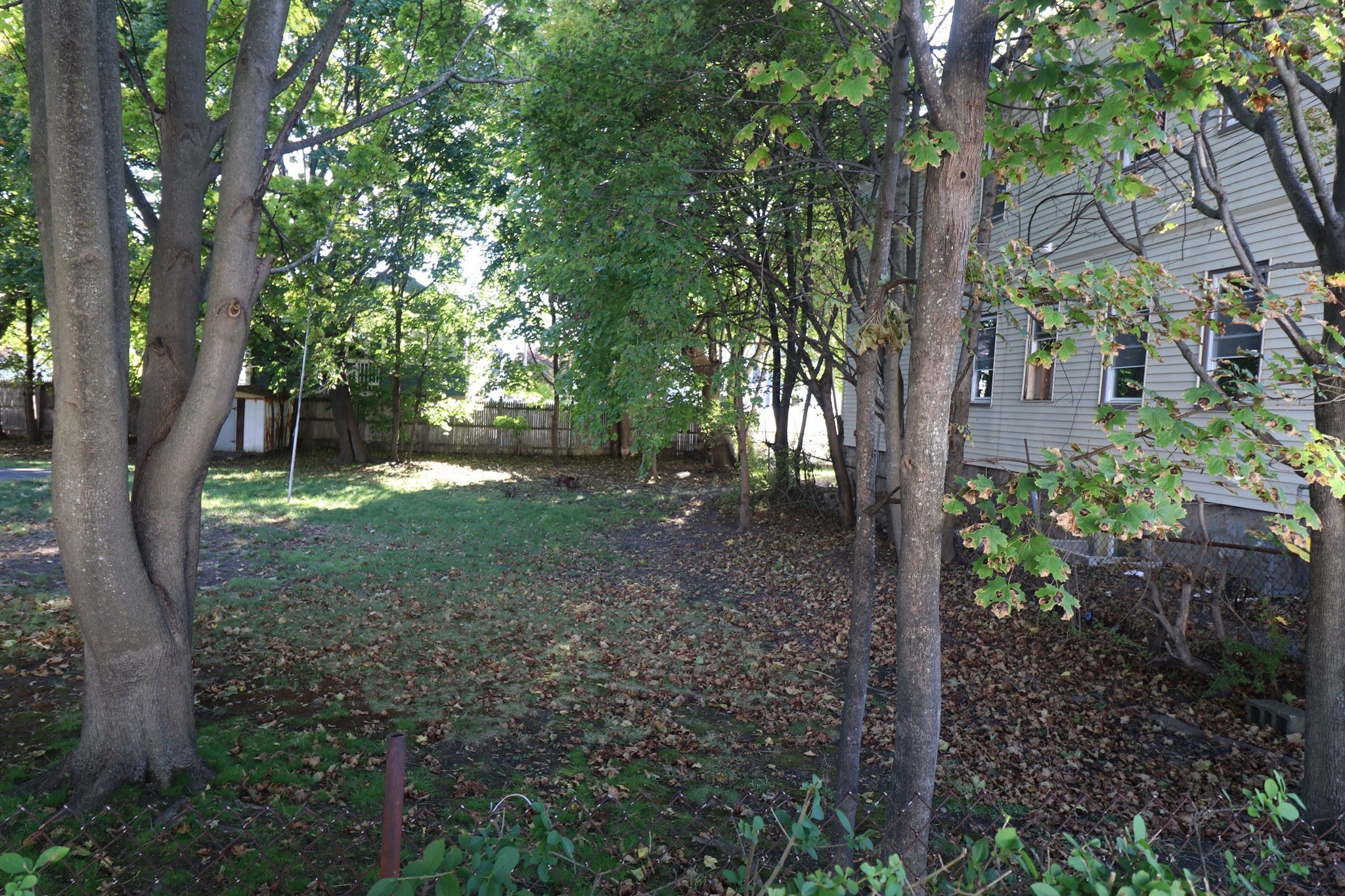 0 Library Street