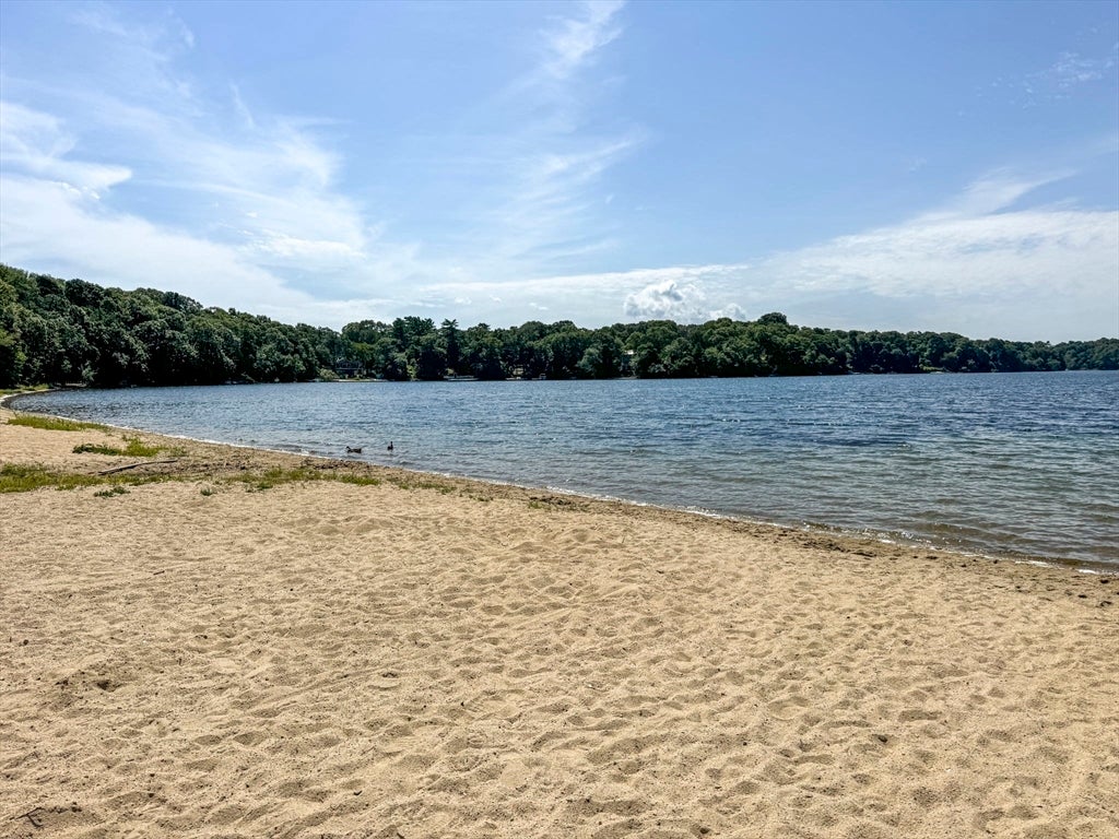 46 Lake Shore Dr, Falmouth, MA, 46 Lake Shore Dr, Falmouth, MA Photo #27