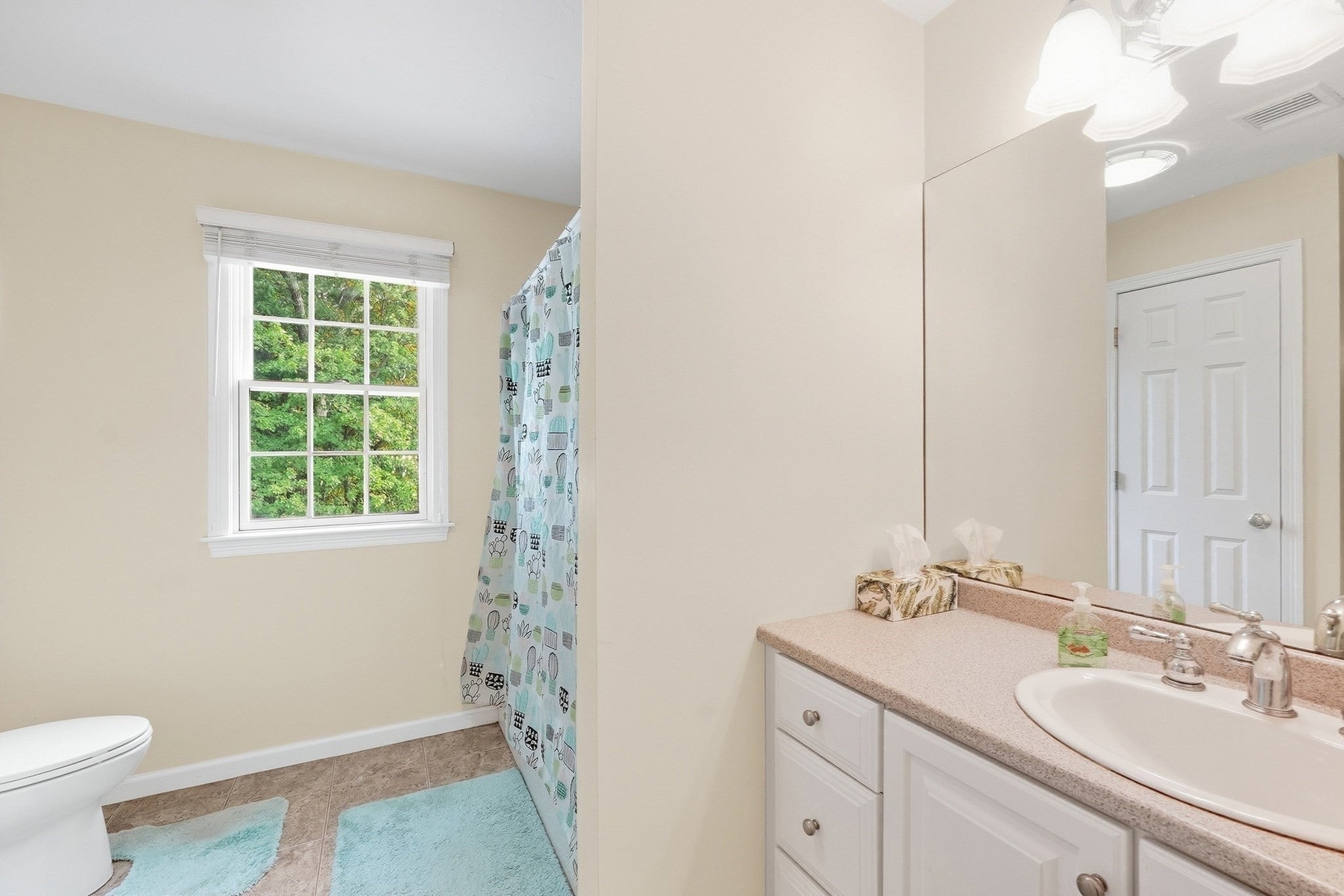 24 Goodnow Ln, Framingham, MA Photo #21
