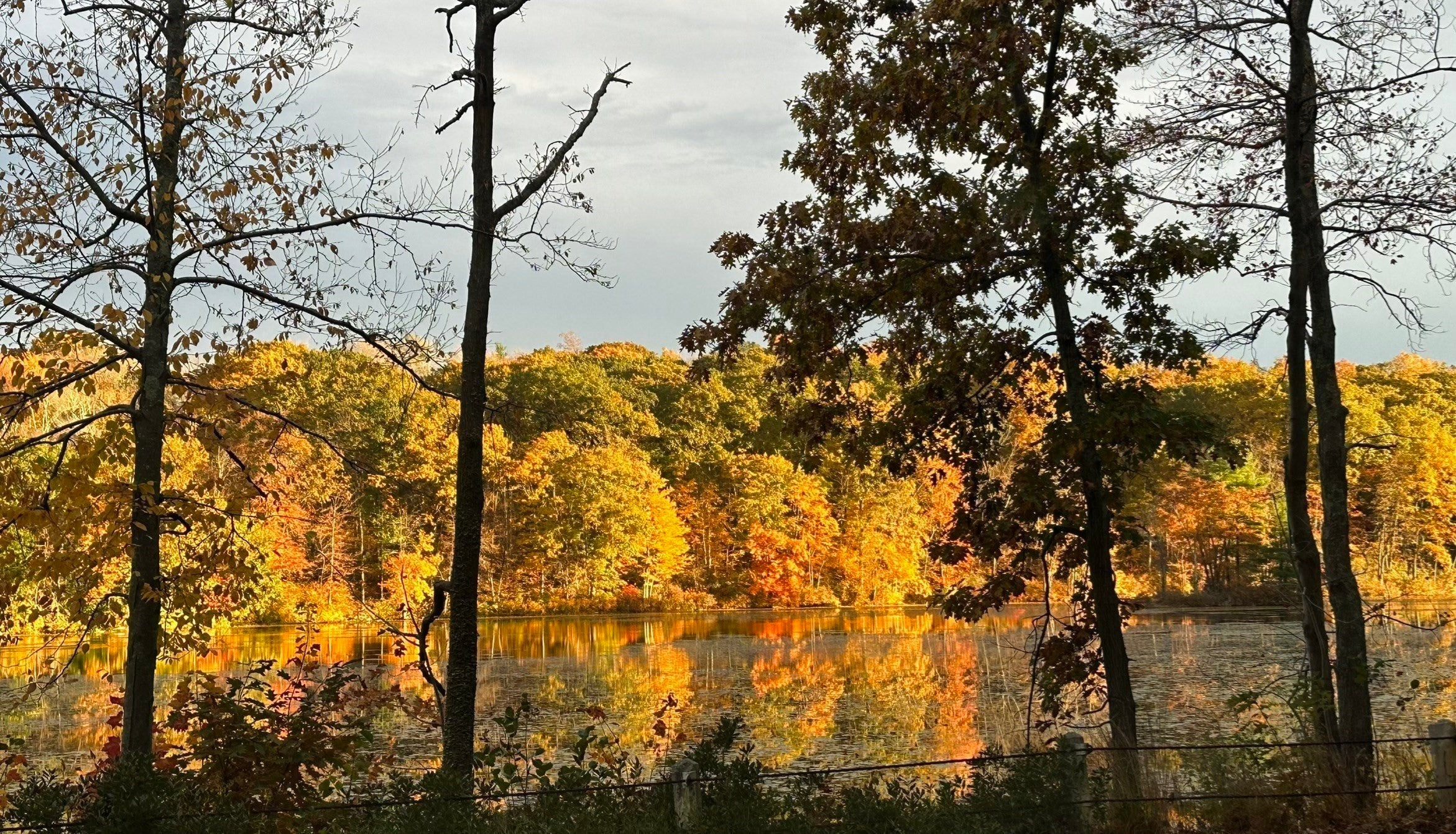 194 W Sutton Rd