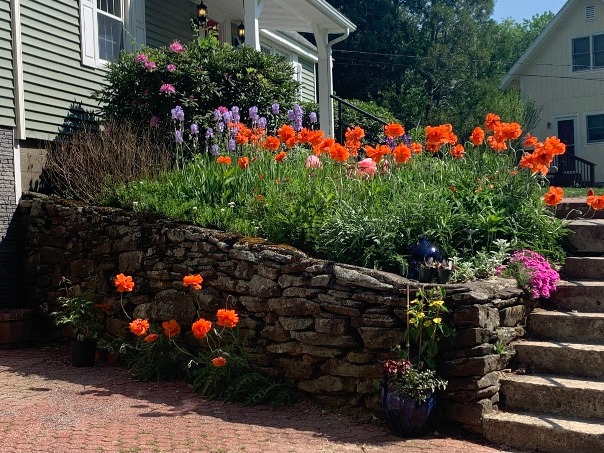 194 W Sutton Rd