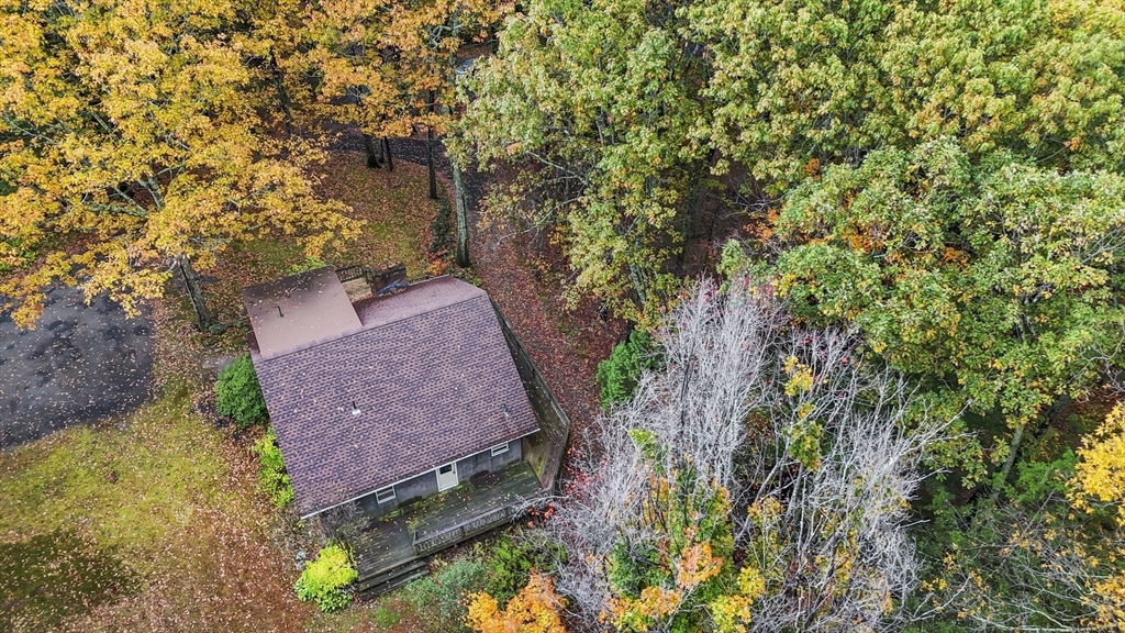 55 Putney Road