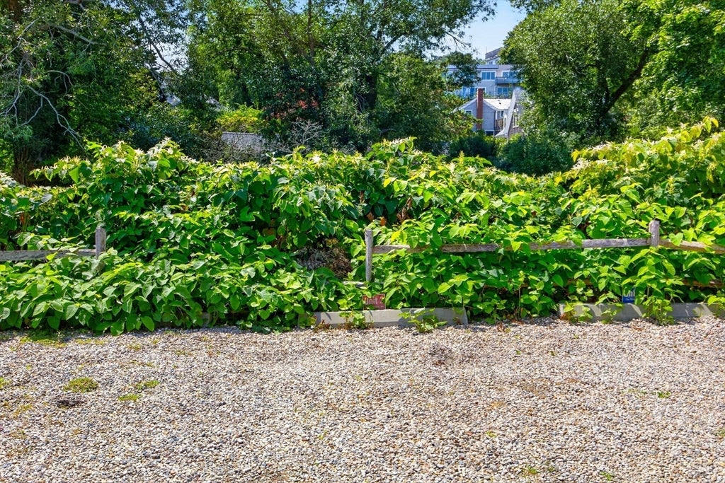 446 Commercial Street #2, Provincetown, MA Photo #33