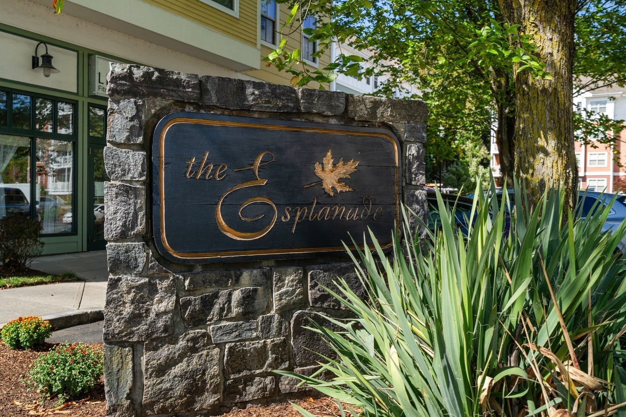 250 Main Street 402