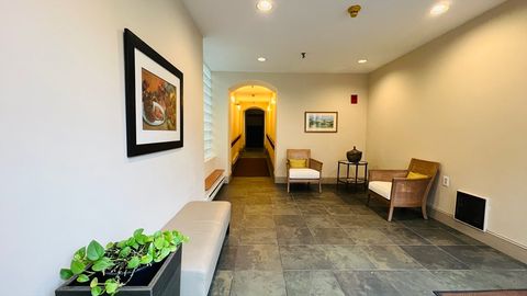 66 Winchester St PHB Brookline MA 02446