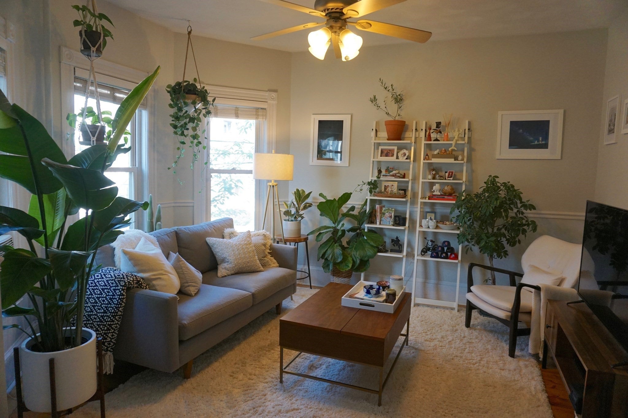121 Albion St #2, Somerville, MA, 121 Albion St #2, Somerville, MA Photo #2