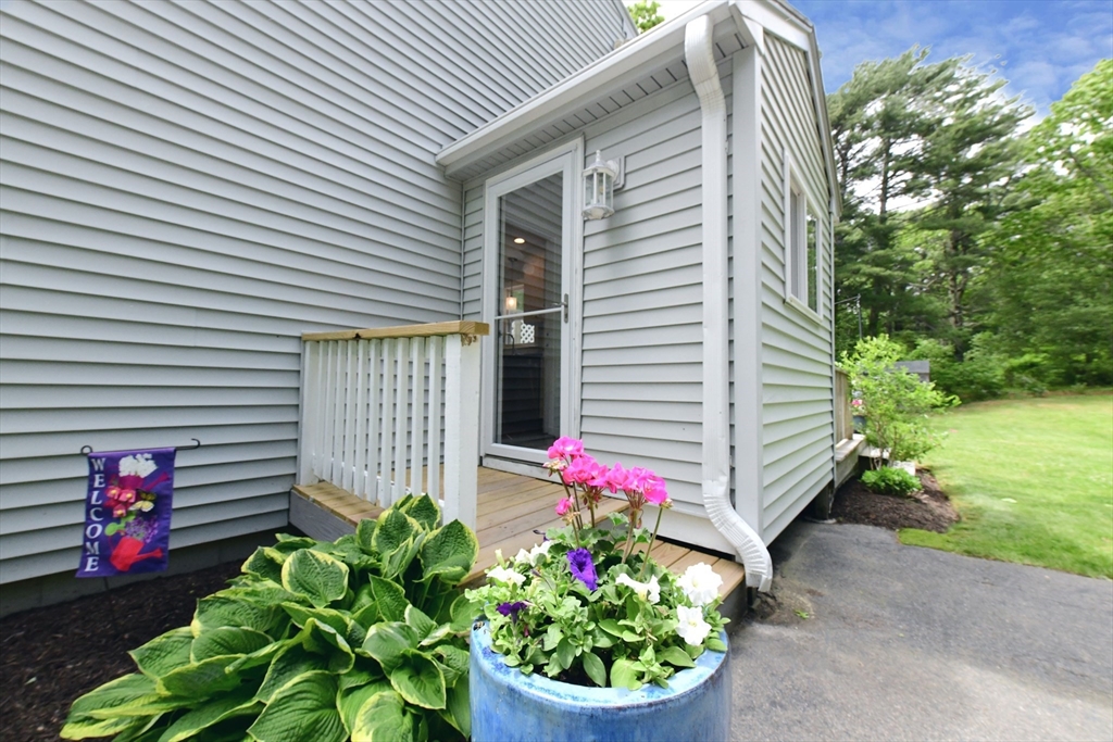 11 Winchester Ave