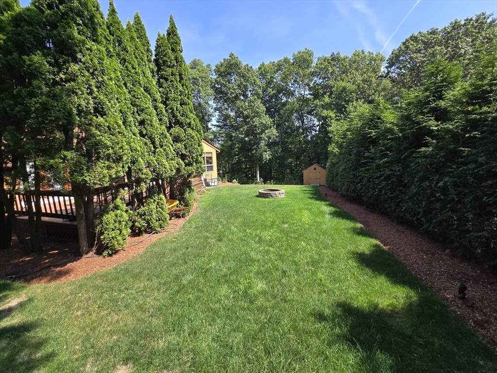 81 Sanford St