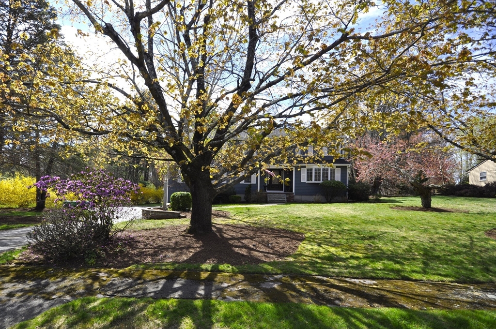81 Amber Dr