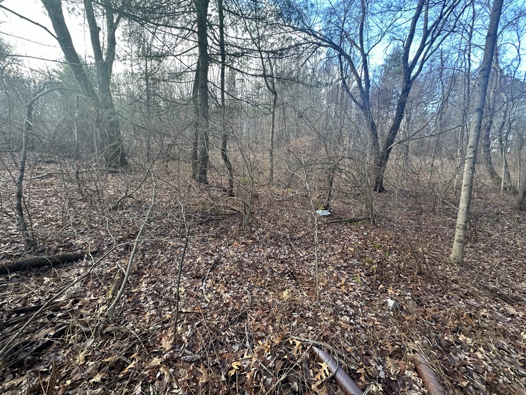 32 Sheep Pasture Rd.