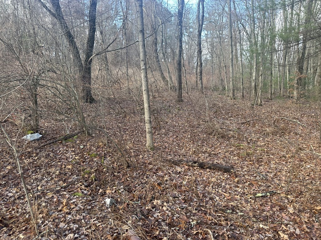 32 Sheep Pasture Rd.