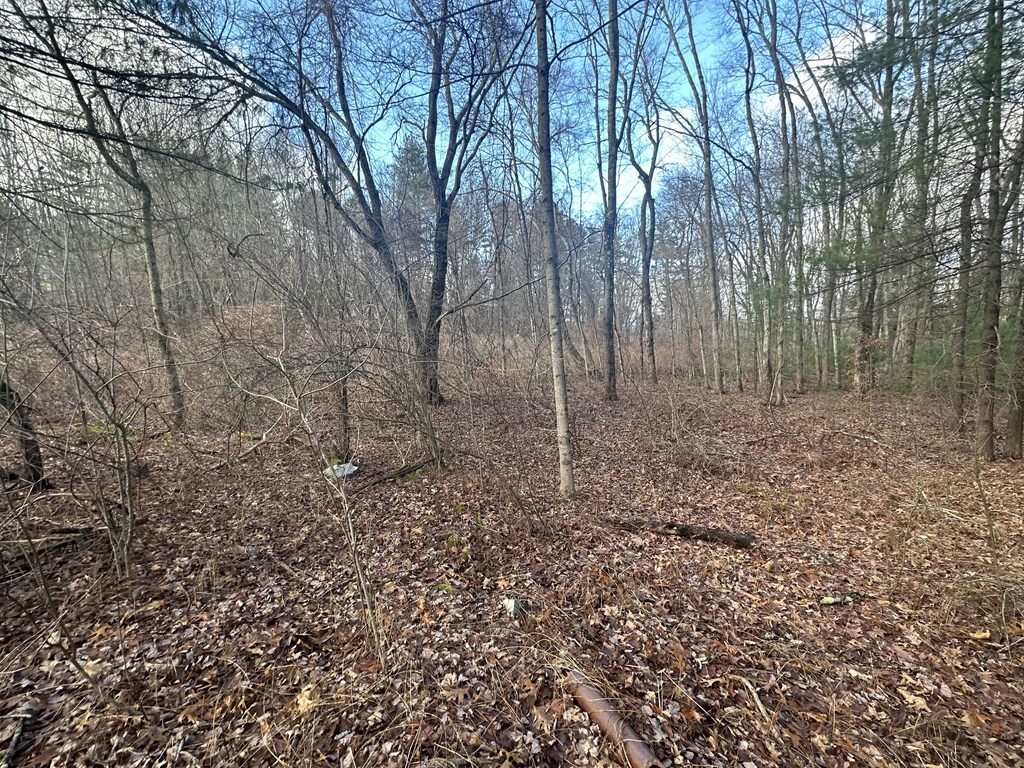 32 Sheep Pasture Rd.