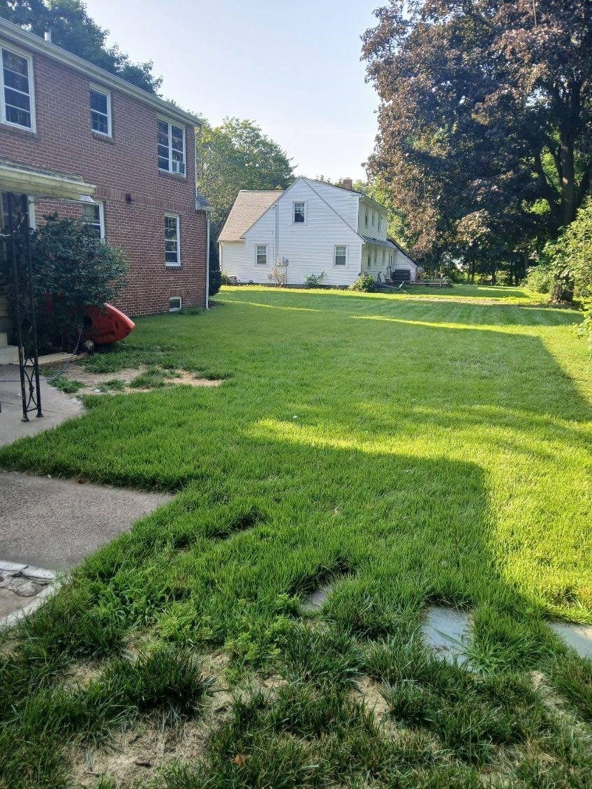 66 Primrose St, Springfield, MA Photo #5
