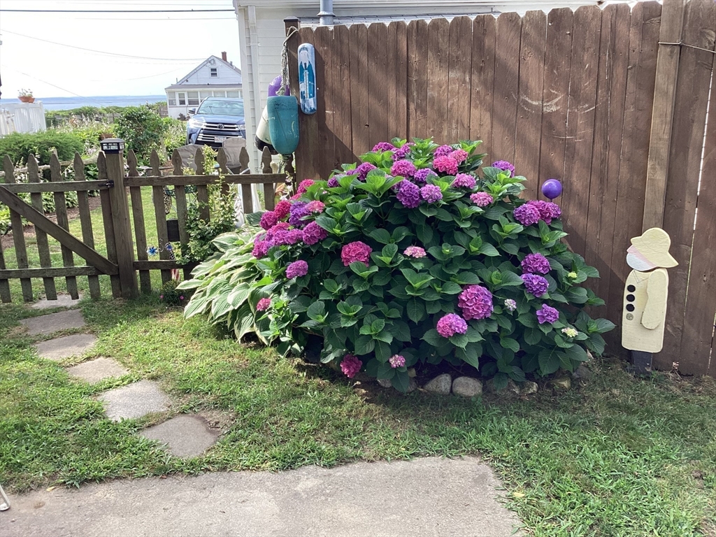 36 Wankinquoah Ave