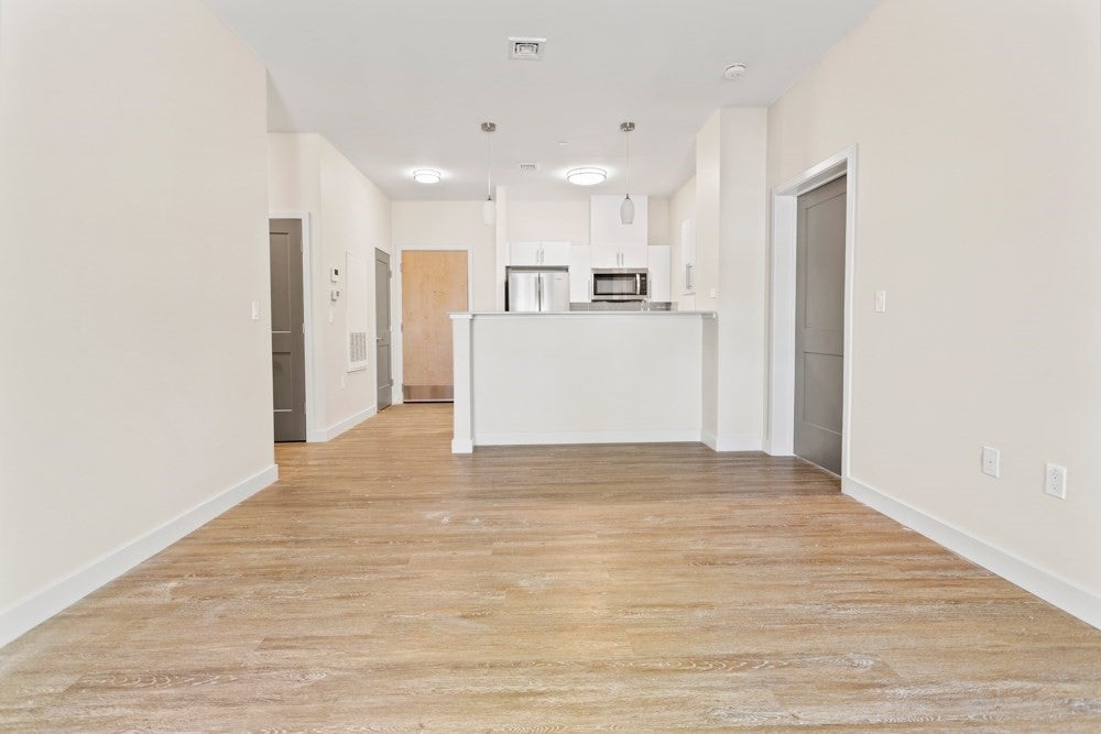 13 Shetland St #301, Boston, MA, 13 Shetland St #301, Boston, MA Photo #10