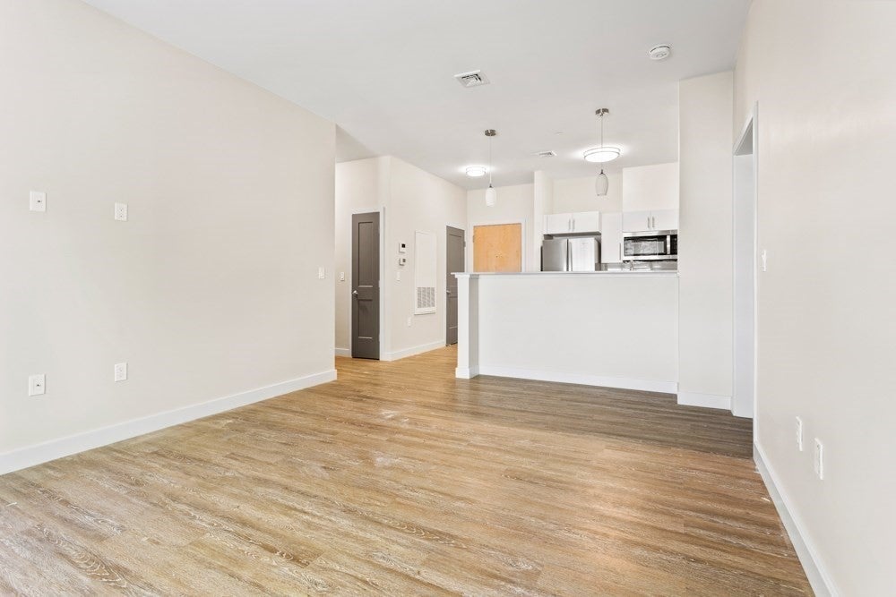 13 Shetland St #301, Boston, MA, 13 Shetland St #301, Boston, MA Photo #9