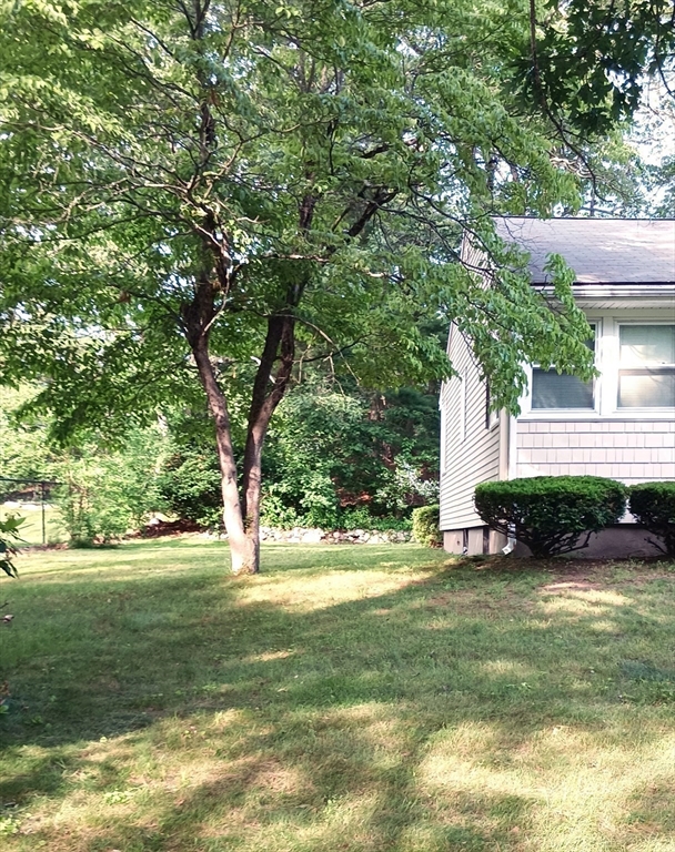 11 Harris St