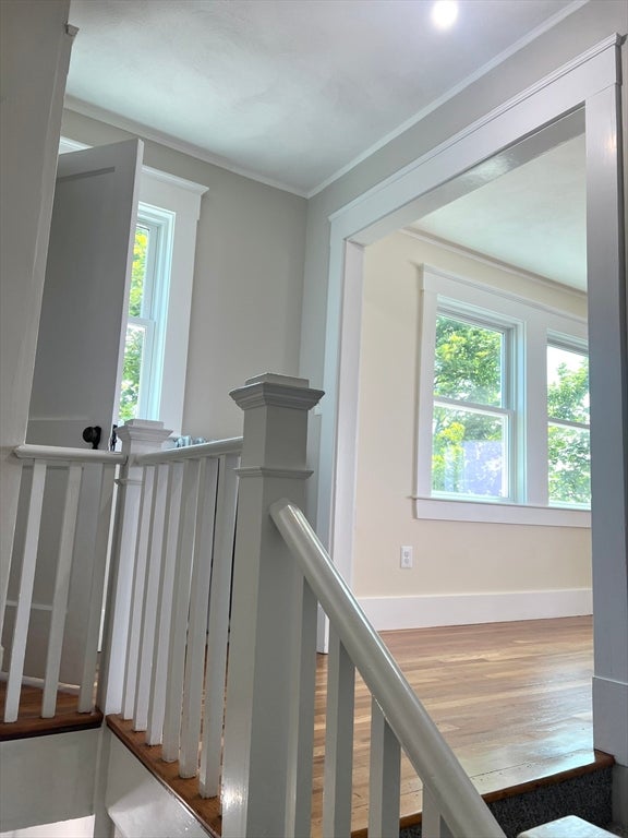 6 Elmwood Court #2, Winthrop, MA, 6 Elmwood Court #2, Winthrop, MA Photo #23