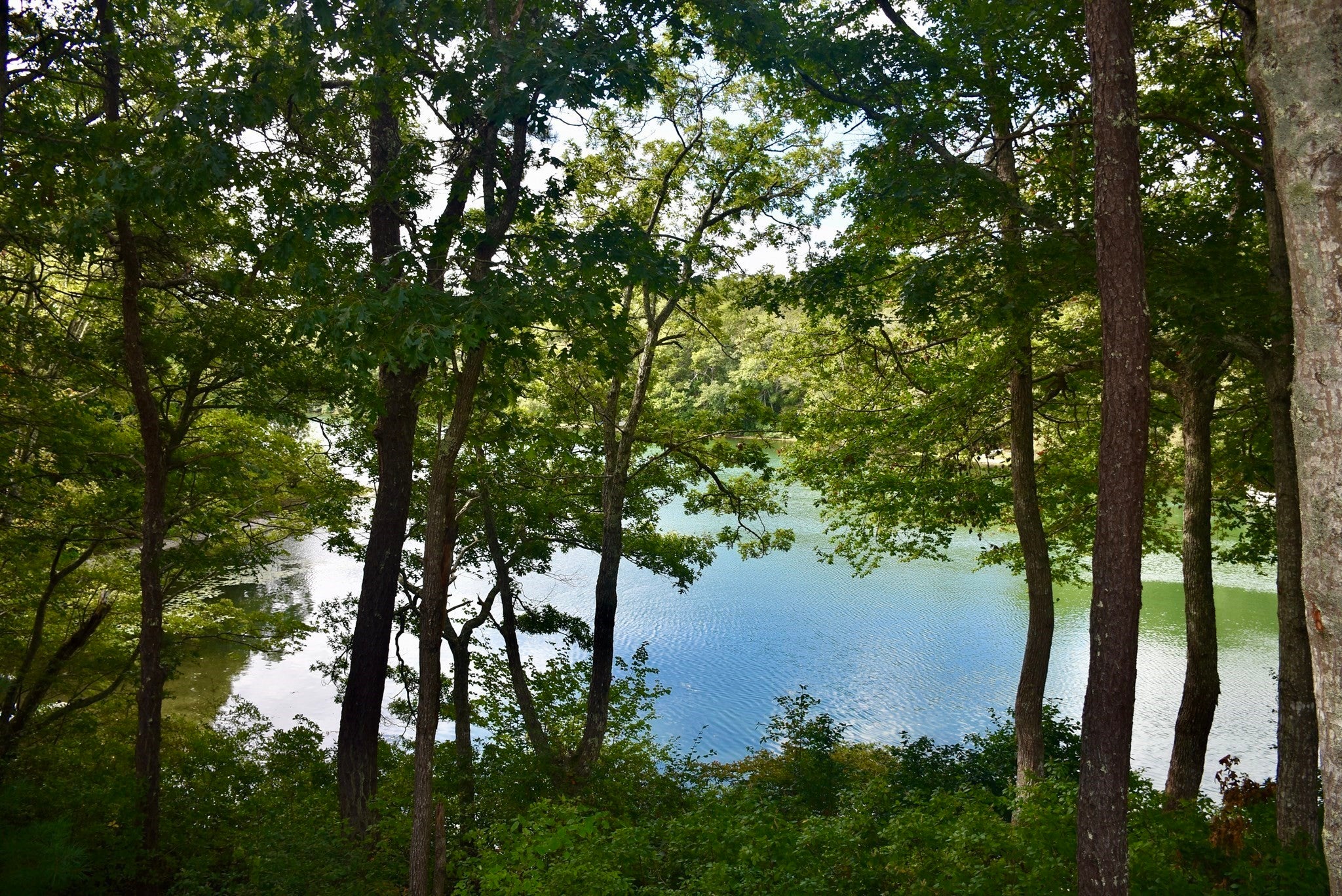 195 Lake Shore Dr