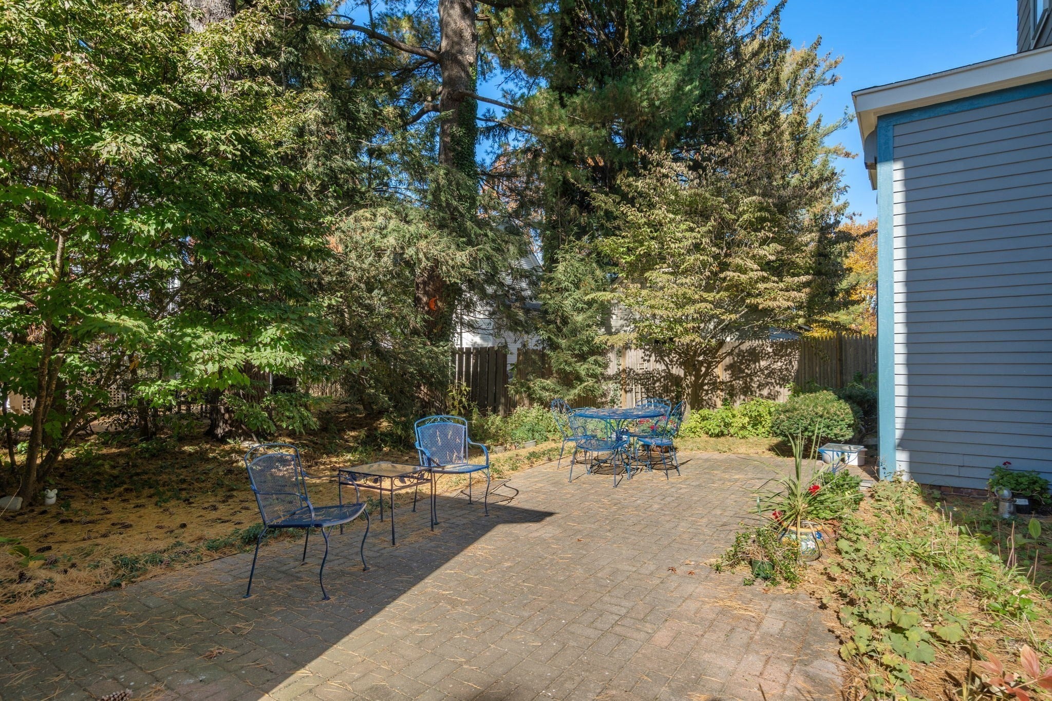 9 Goden Street, Belmont, MA Photo #27