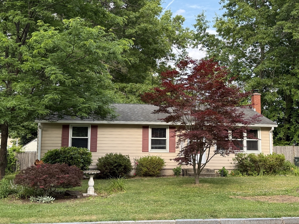 11 Butternut St