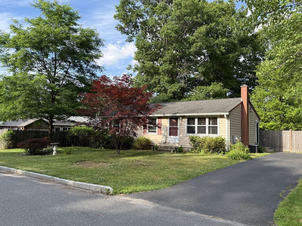 11 Butternut St