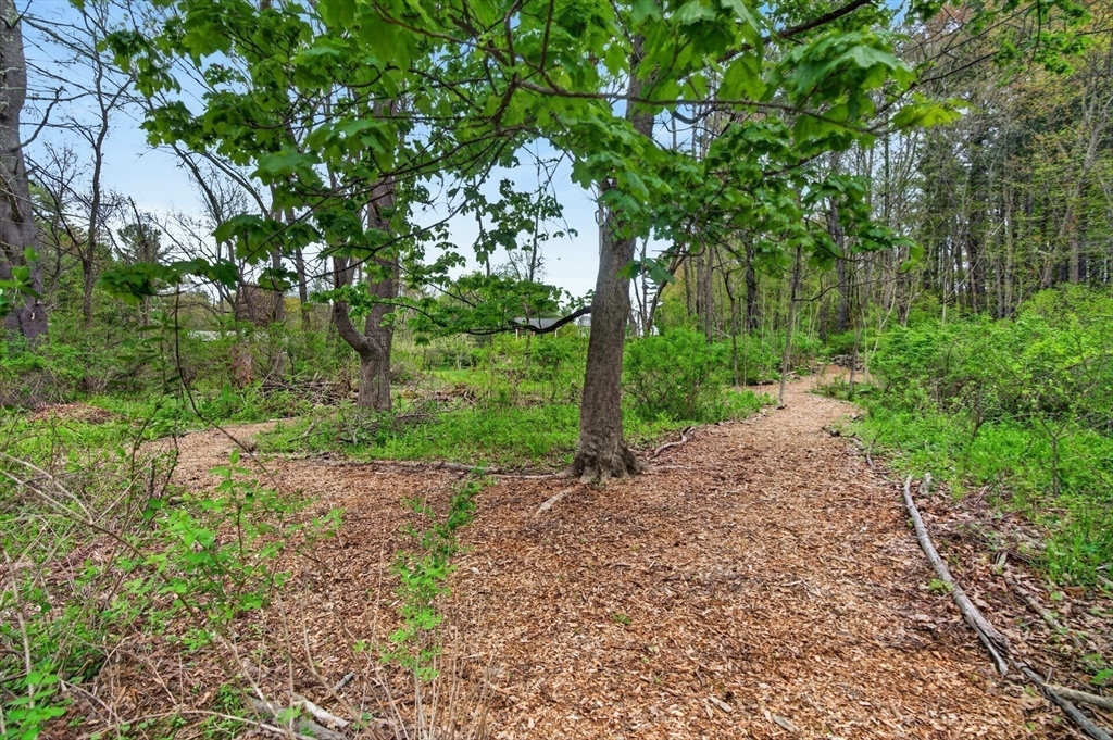 14 Ballardvale Rd, Andover, MA Photo #36