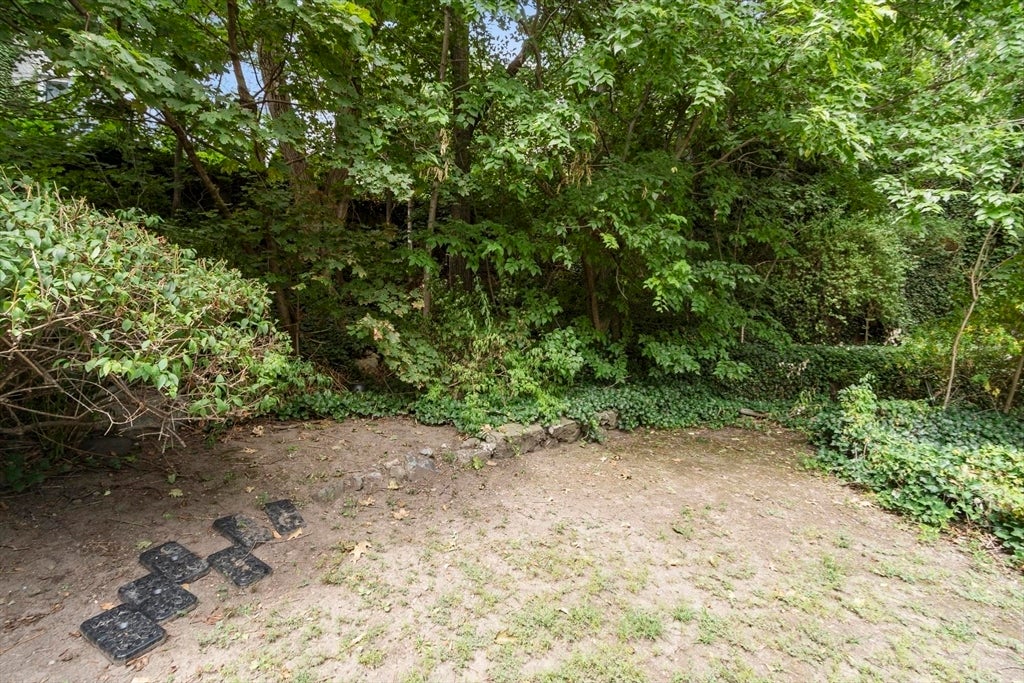219 Walnut Street, Lynn, MA Photo #38