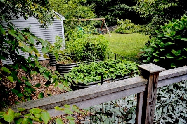 36 Intervale Ter, Reading, MA Photo #3