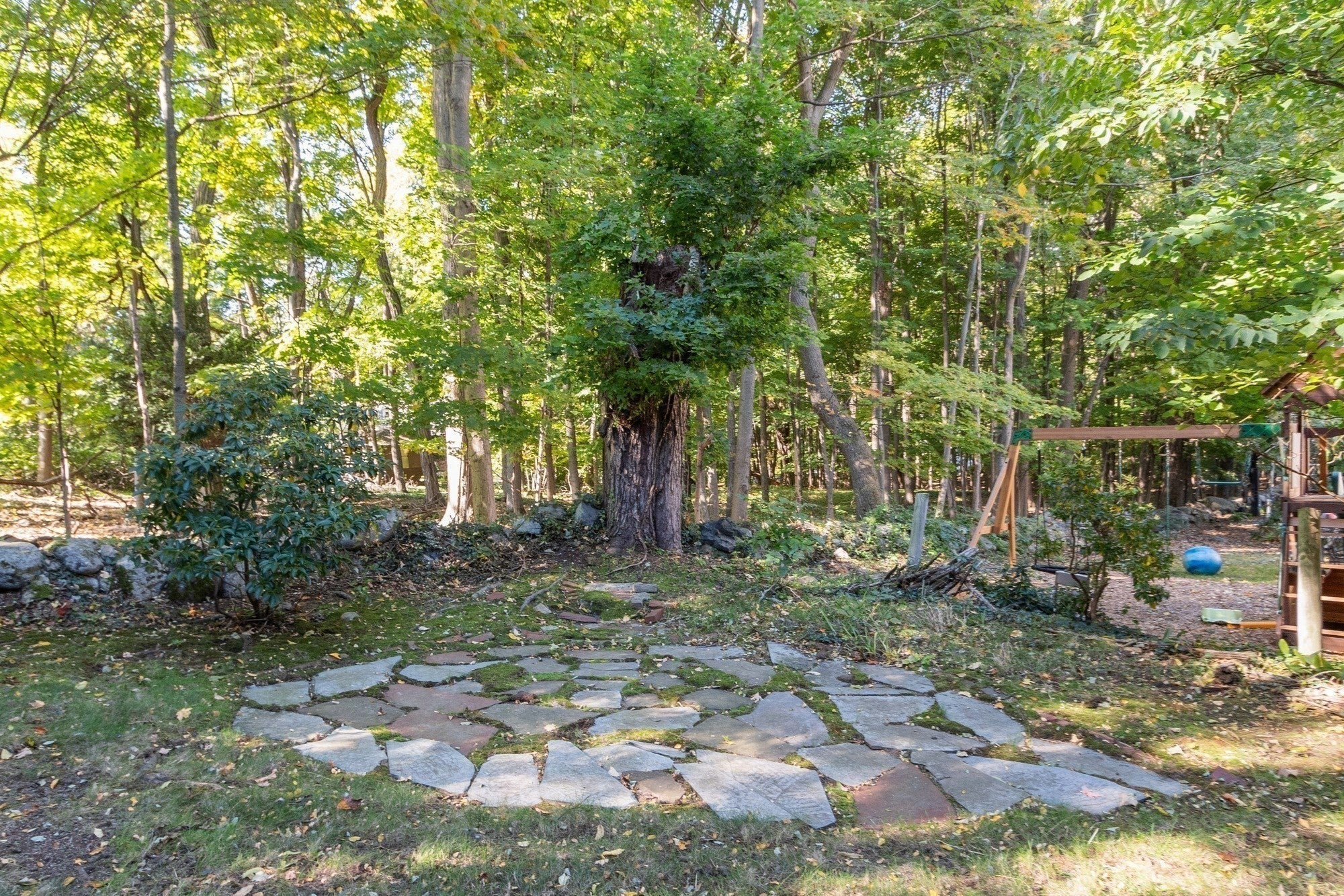 33 Kenmore Rd, Belmont, MA, 33 Kenmore Rd, Belmont, MA Photo #10